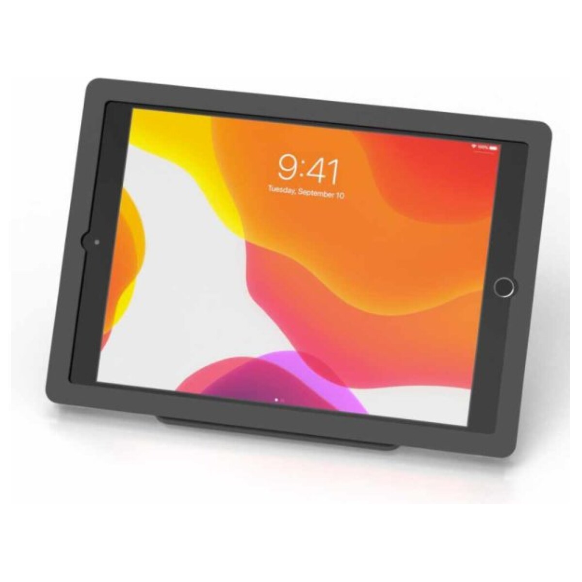 BOXaPOS HI102T - Tablethouder - iPad 10.2"